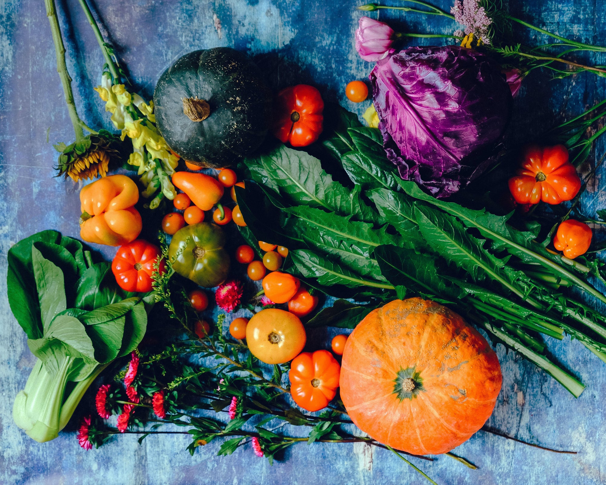 The Science Behind Fiber and Its Benefits