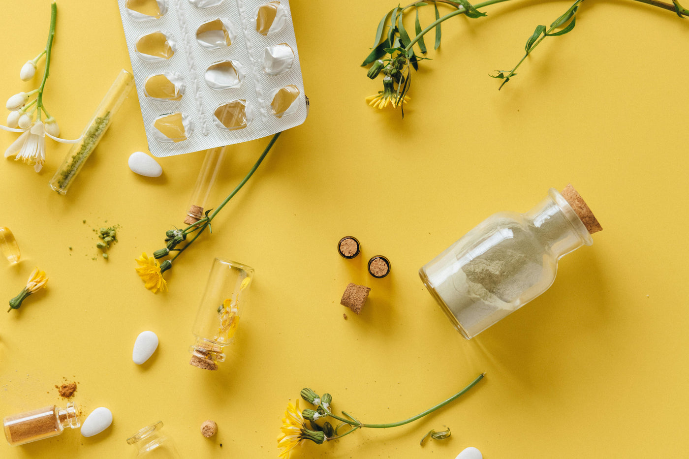 Prebiotics vs. Probiotics: What's the Difference (and Why You Actually Need Both)